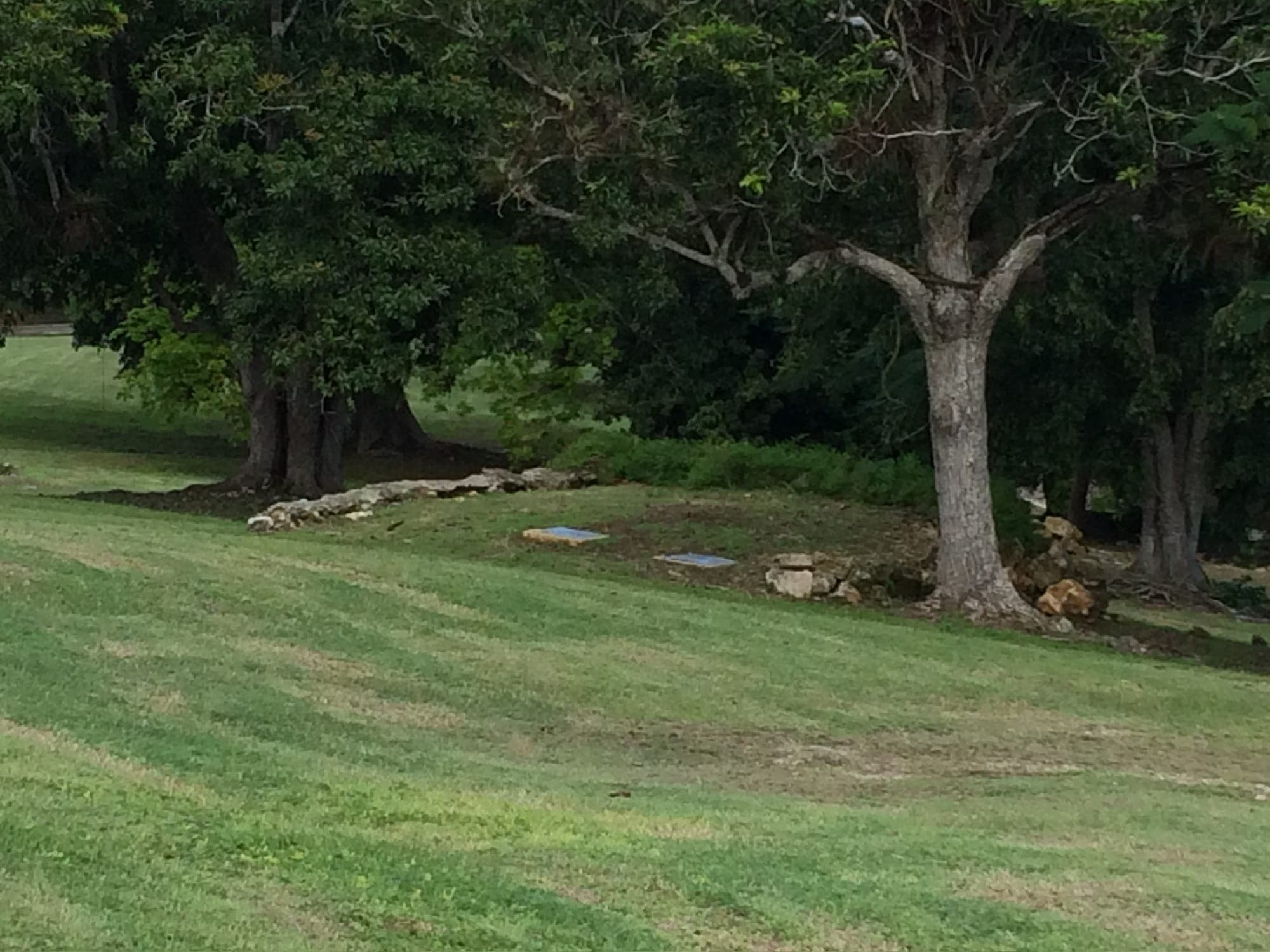 A gentle path across the open grounds