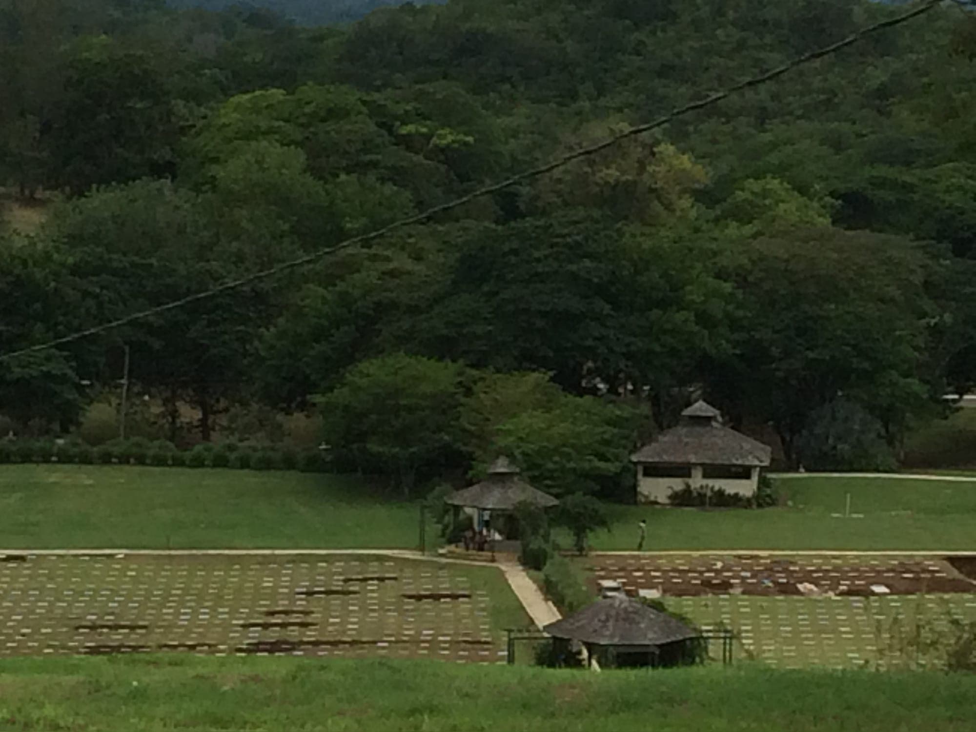 Garden of Tranquility