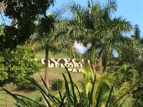 The Dovecot sign through royal palms